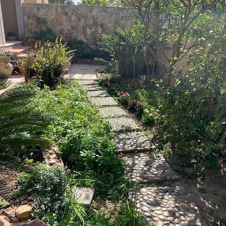 Bentu De Mari 维拉西米乌斯